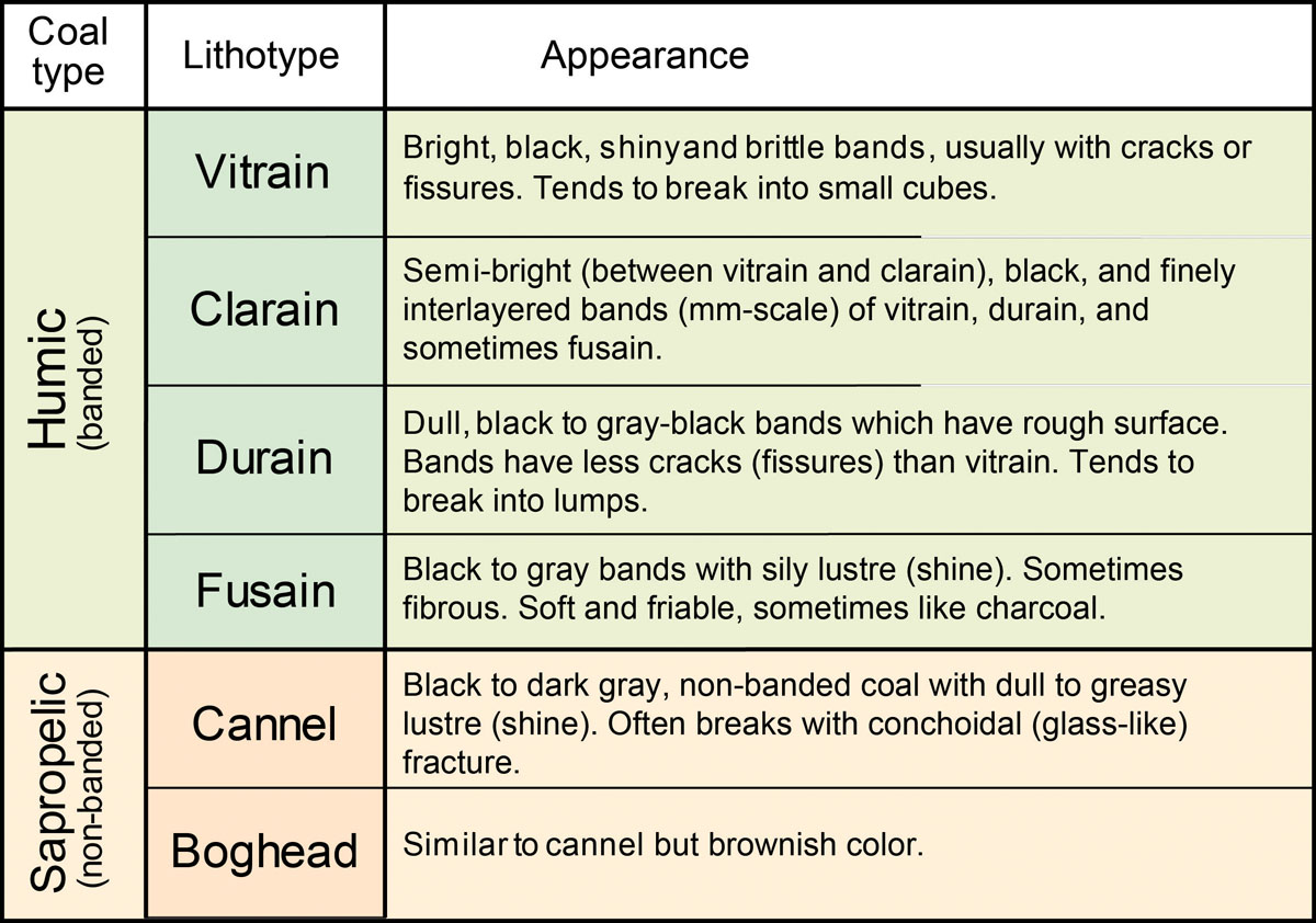 Coal Type / Lithotype  table